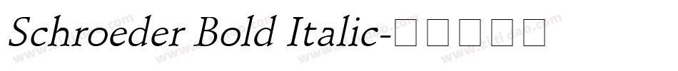 Schroeder Bold Italic字体转换